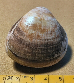 &copy Casper Meinders